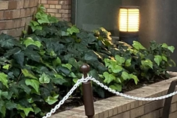 暗い屋外を明るく安全にしたい