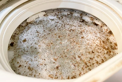 洗濯機の隠れた汚れの実態